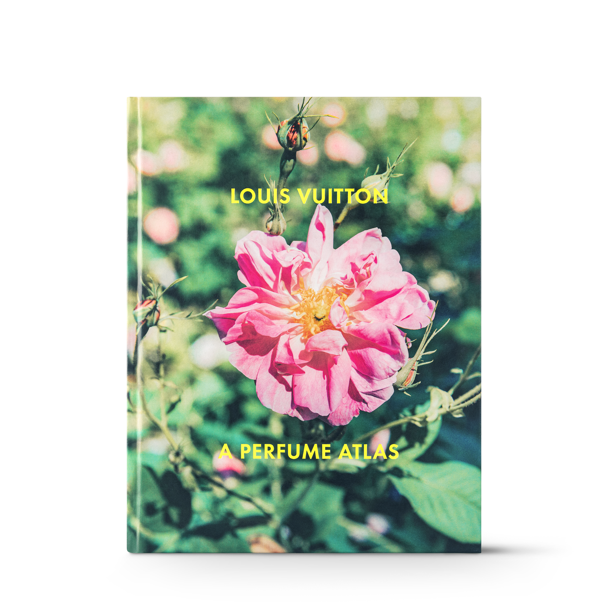 A1】Perfume Vuitton オマージュポスター TGHMH209 This autumn, Louis